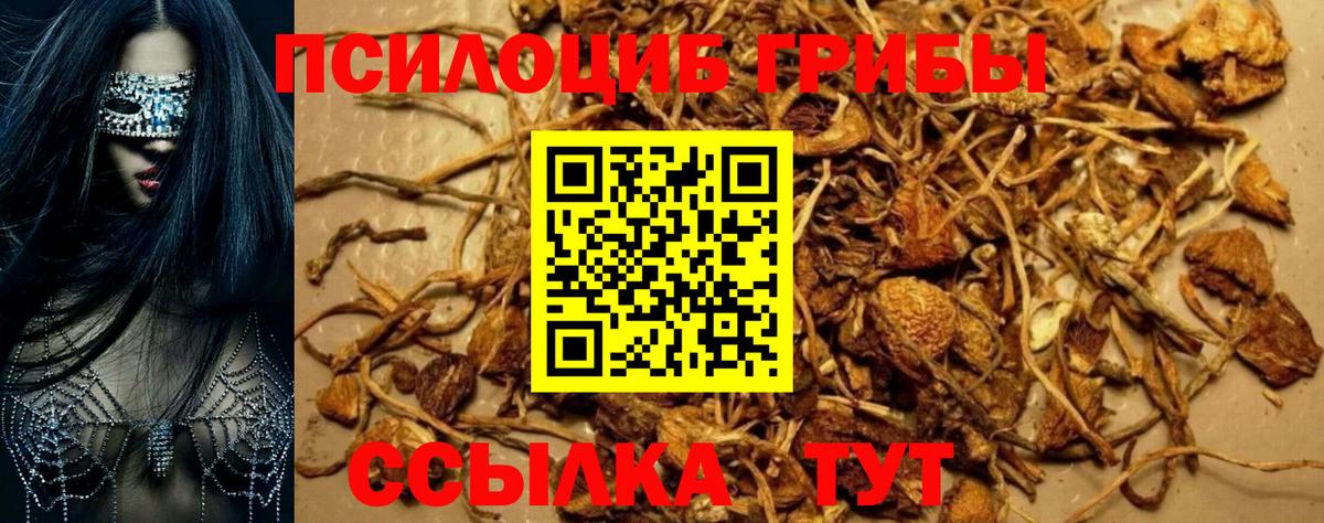 продажа наркотиков  Псилоцибиновые грибы мухоморы  Вход с VPN  Киржач 
